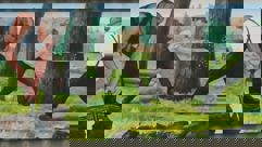 The Pioneers of Pembroke Township 1820-1850 mural