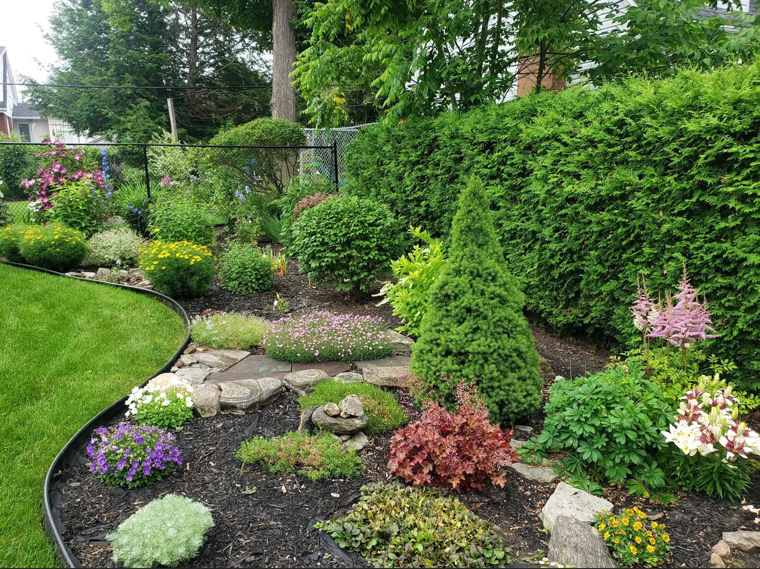 Photo of the Garden from the 2025 July Garden Contest Winner